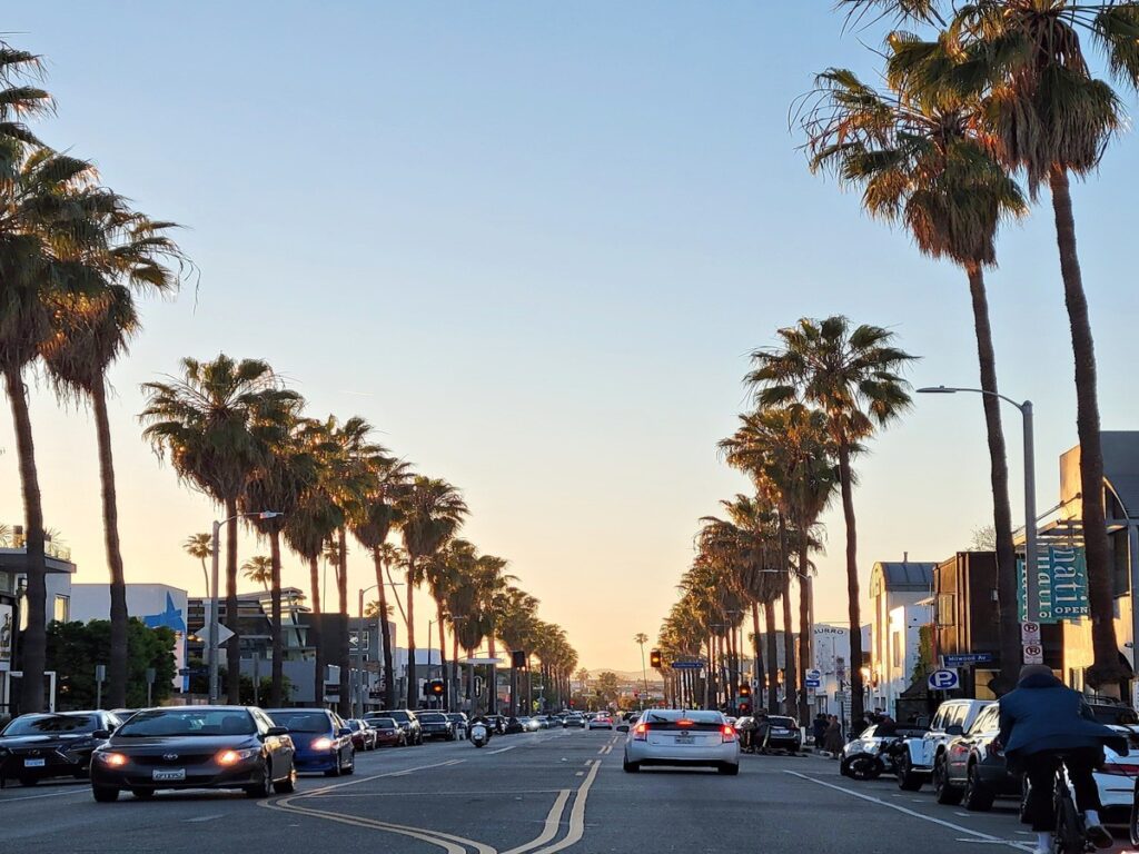 sunset palm-lined street best places to live in San Diego